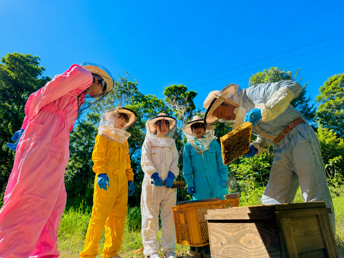 miraの若手スタッフが養蜂場で養蜂体験をしている様子